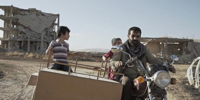 cuando-crecen-las-plantulas-pelicula-scaled-e1719227004119-660×330